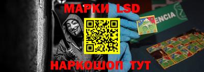 прущие грибы Дубна