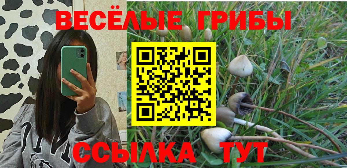 Псилоцибиновые грибы MAGIC MUSHROOMS Мелеуз