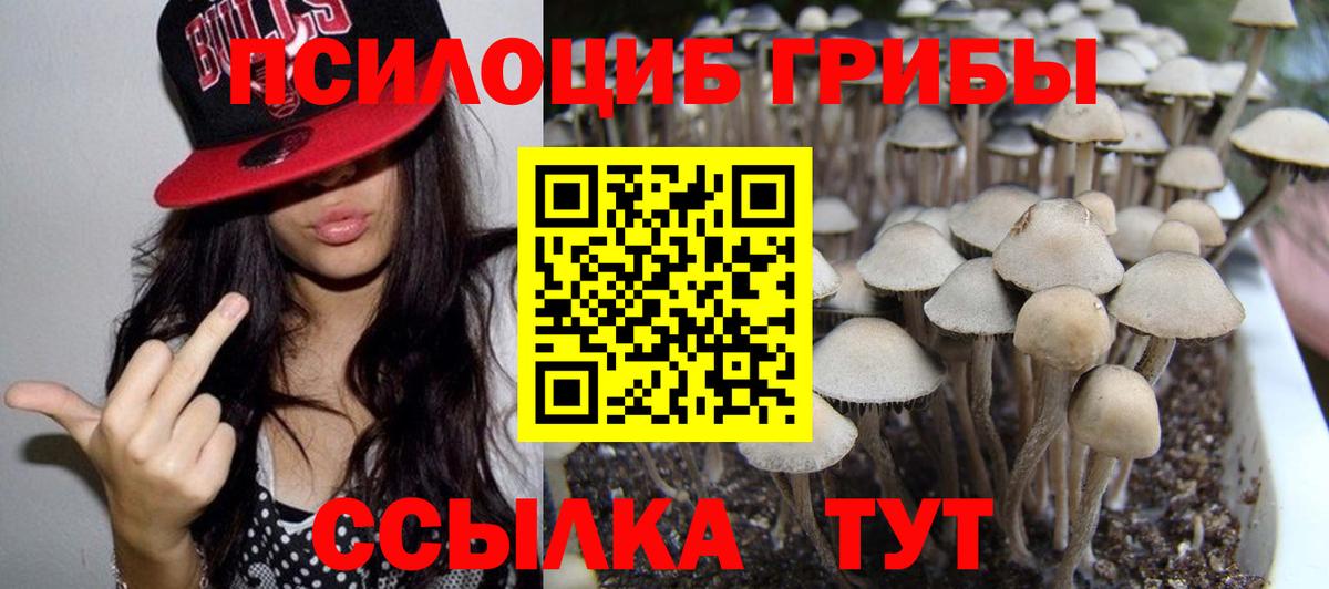 Мелеуз  Галлюциногенные грибы Psilocybine cubensis  Вход с VPN 